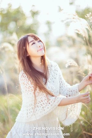 西游记86版全集